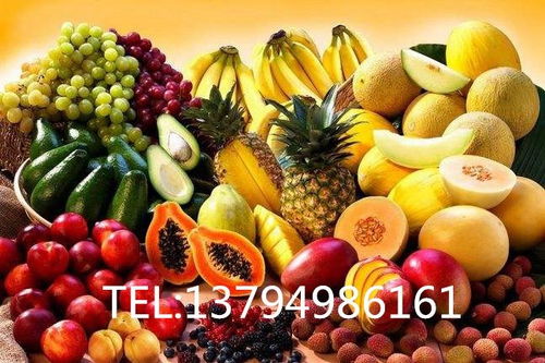 進口越南水果清關手續及準入規定